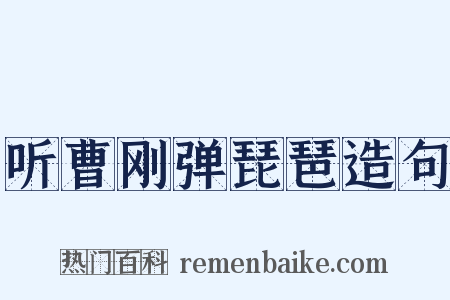 听曹刚弹琵琶造句是什么意思的图片